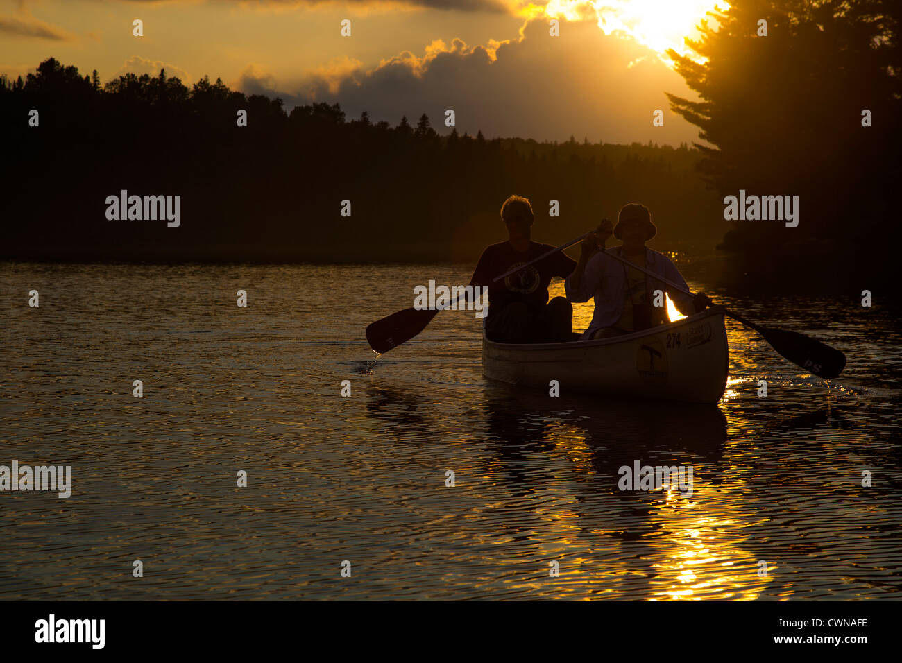 Tom thomson hires stock photography and images Alamy