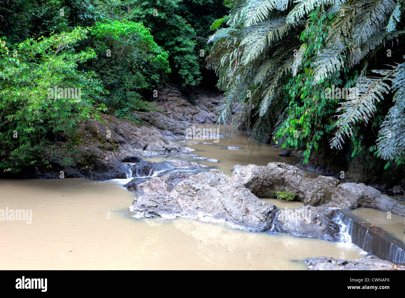 Lipad River, Tabin Wildlife Reserve, Borneo, Malaysia Stock Photo