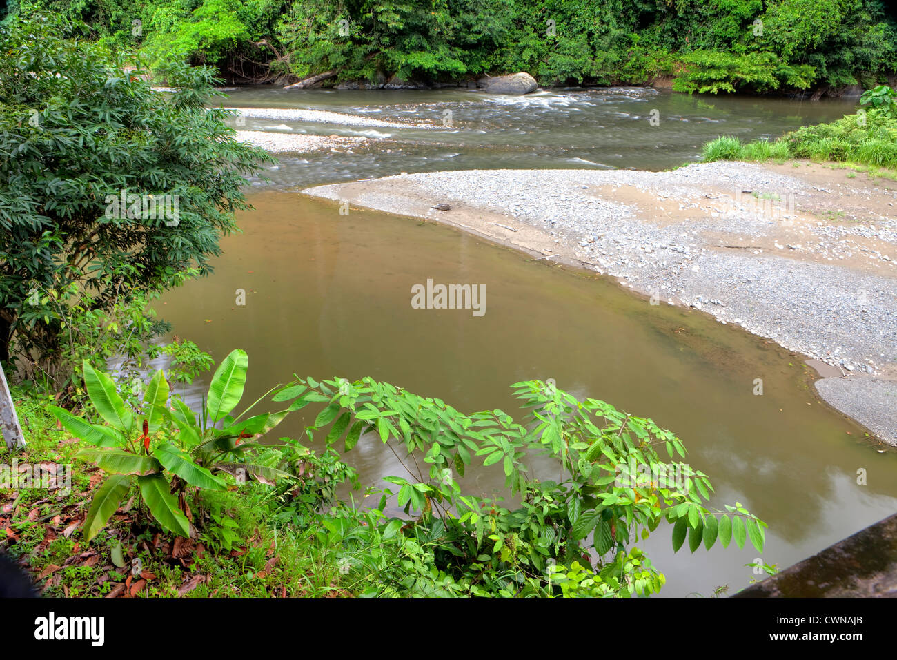 Danum River, Danum Valley Conservation Area, Borneo, Malaysia Stock Photo