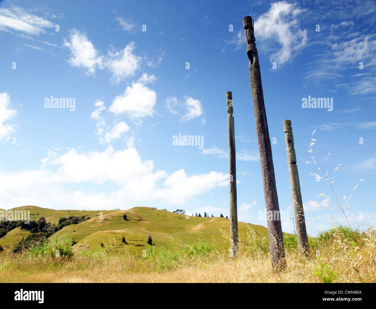 Maori pou or totems outside the Otatara Pa historic village in Taradale