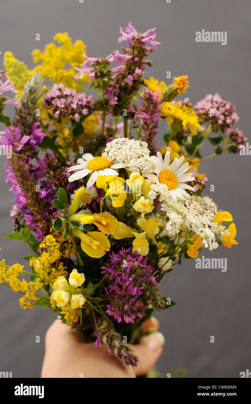 Woman pretty flowers hi-res stock photography and images - Alamy