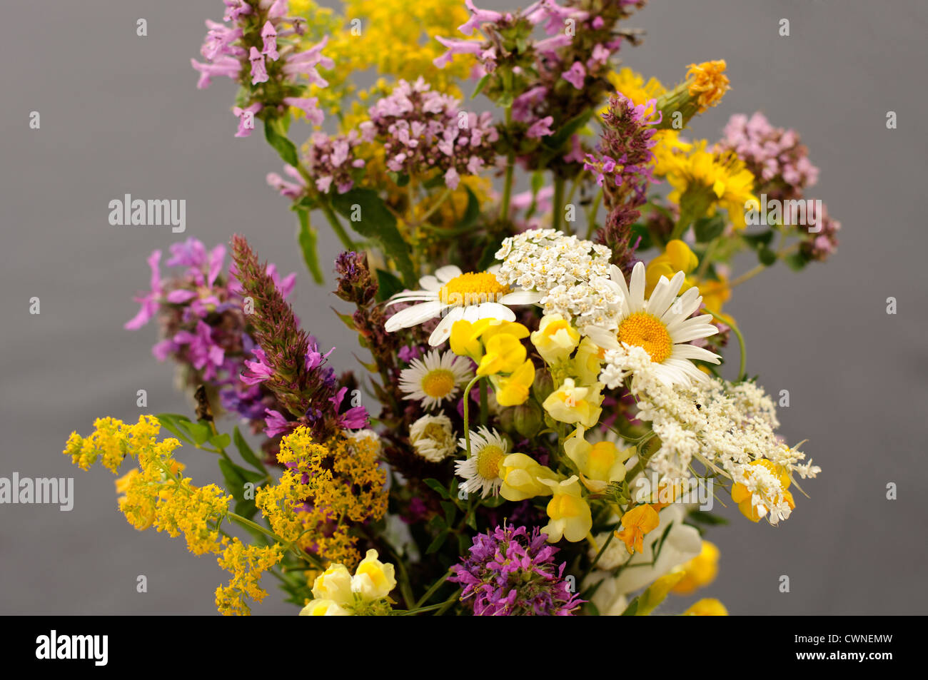 Bouquet wildflowers hi-res stock photography and images - Alamy