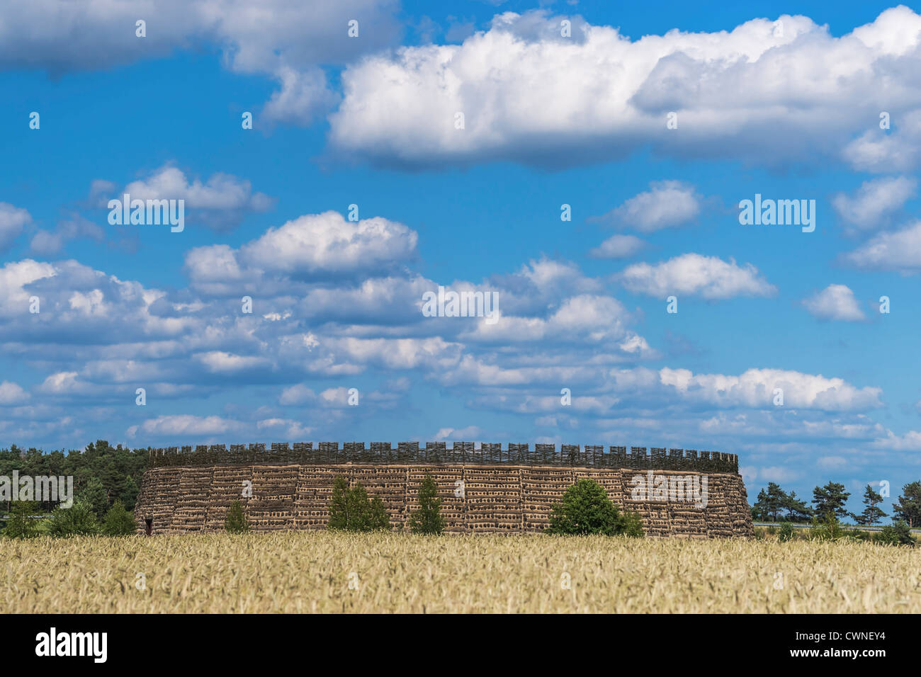 Slavic fort Raddusch is a faithful reproduction of a Slavic refuge fort near Vetschau/Spreewald, Brandenburg, Germany, Europe Stock Photo