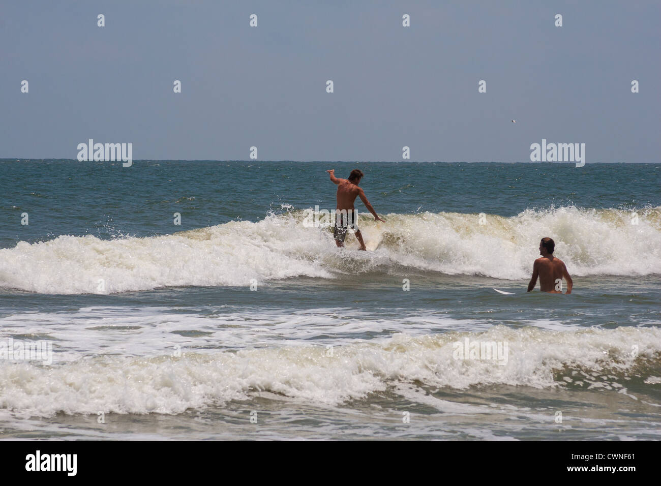 Surfing In Charleston South Carolina Stock Photo Alamy