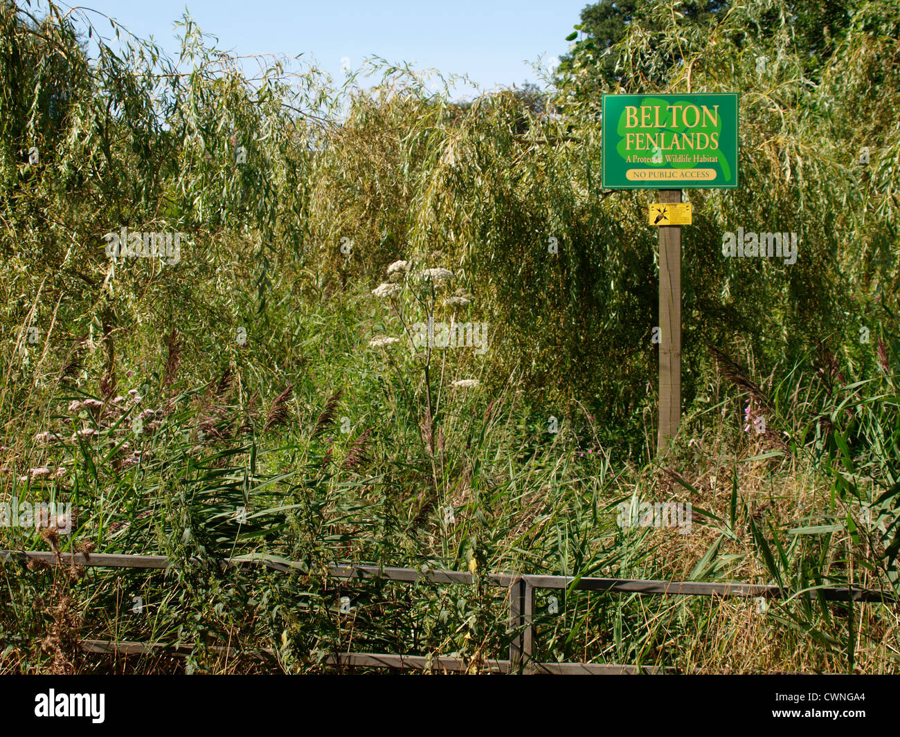 Belton Fenlands, Norfolk. A protected wildlife habitat, UK Stock Photo