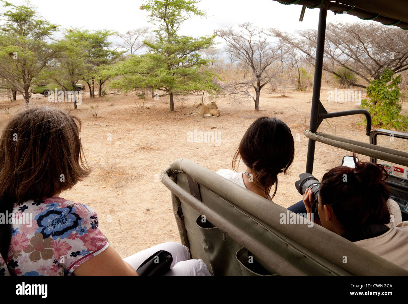 Tourists watching lions on a jeep safari, Selous game  reserve Tanzania Africa Stock Photo