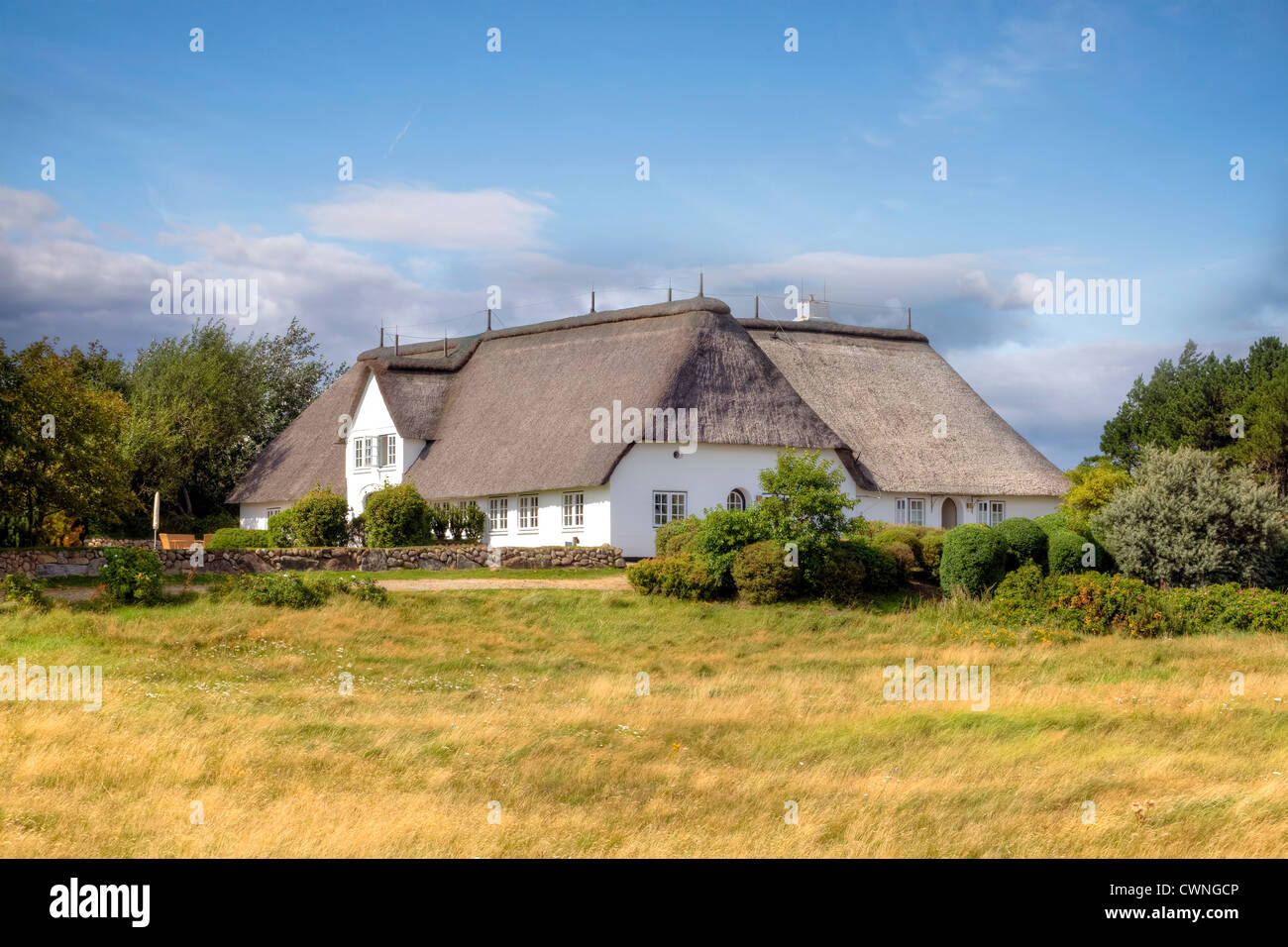 frisian house, Munkmarsch, Sylt, Schleswig-Holstein, Germany Stock Photo