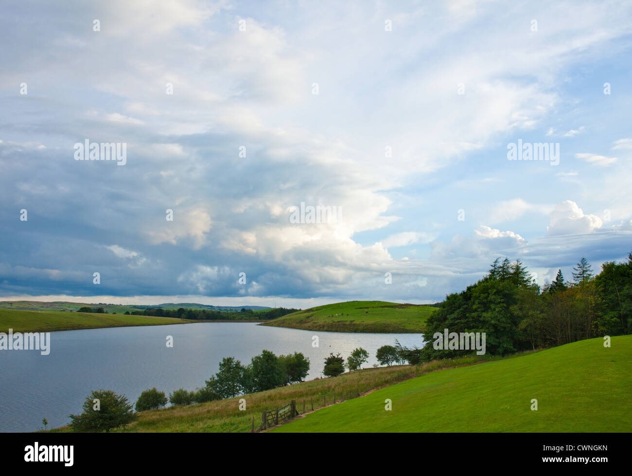 beautiful cloudscape over green summer fields and lake Stock Photo