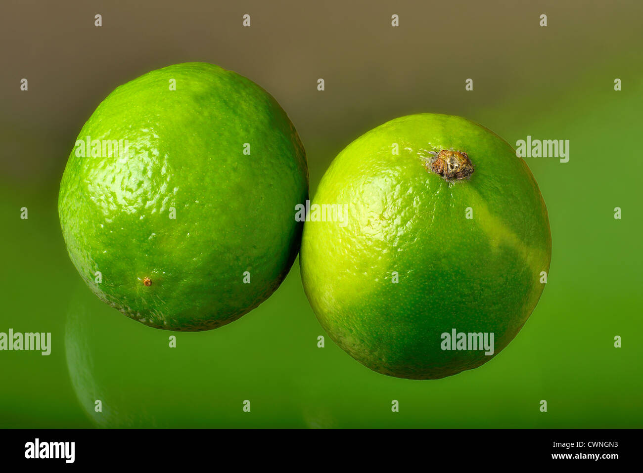 Zwei Limetten nebeneinander, hervorgehoben von einem grün-braunen weichgezeichneten Hintergrund. Two green limes Stock Photo