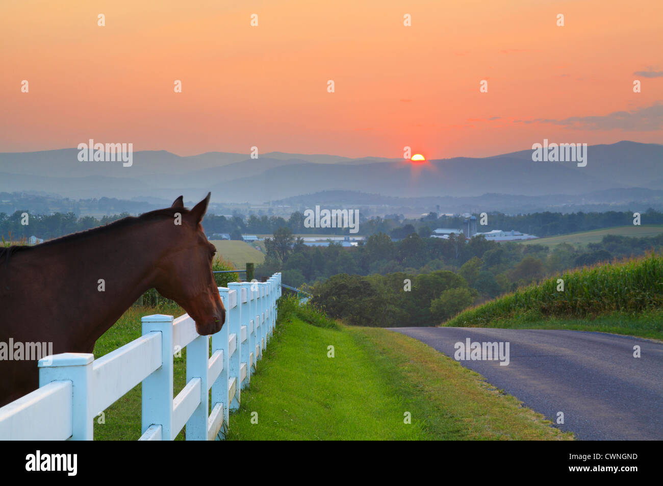 Horse barns hires stock photography and images Alamy