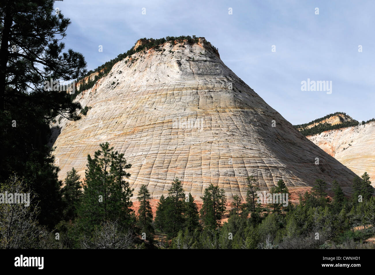 Navajo cliffs markings striation Checkerboard Mesa Zion National Park Utah Stock Photo