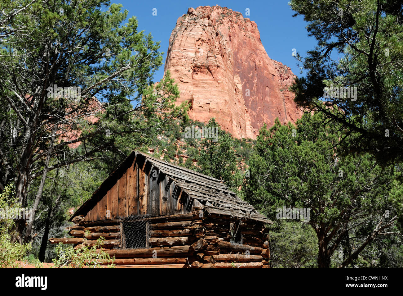 Larson Cabin along taylor creek Kolob Canyon Section Zion National Park Utah Stock Photo