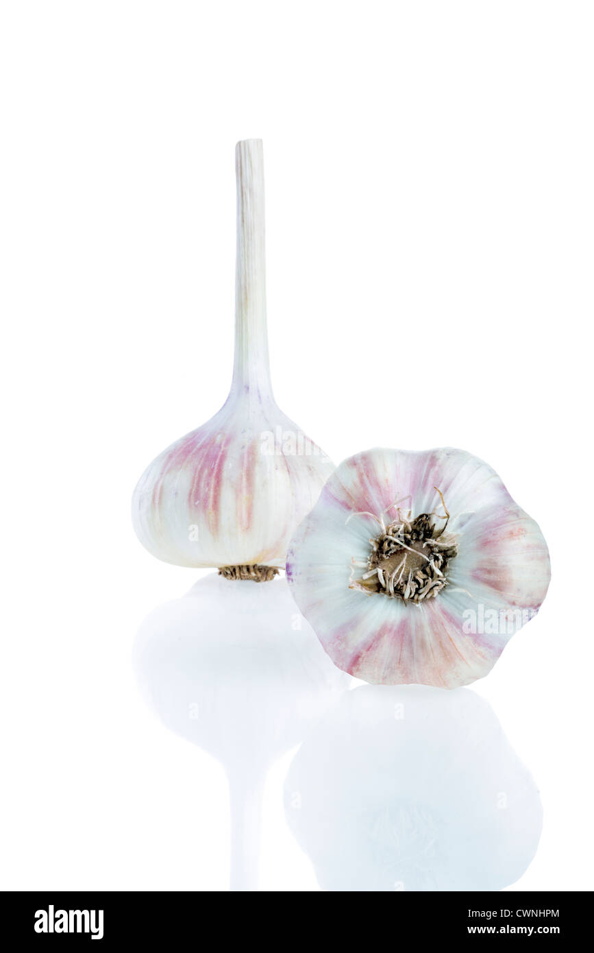 Garlic bulbs (Allium sativum), isolated on 100% white background Stock Photo