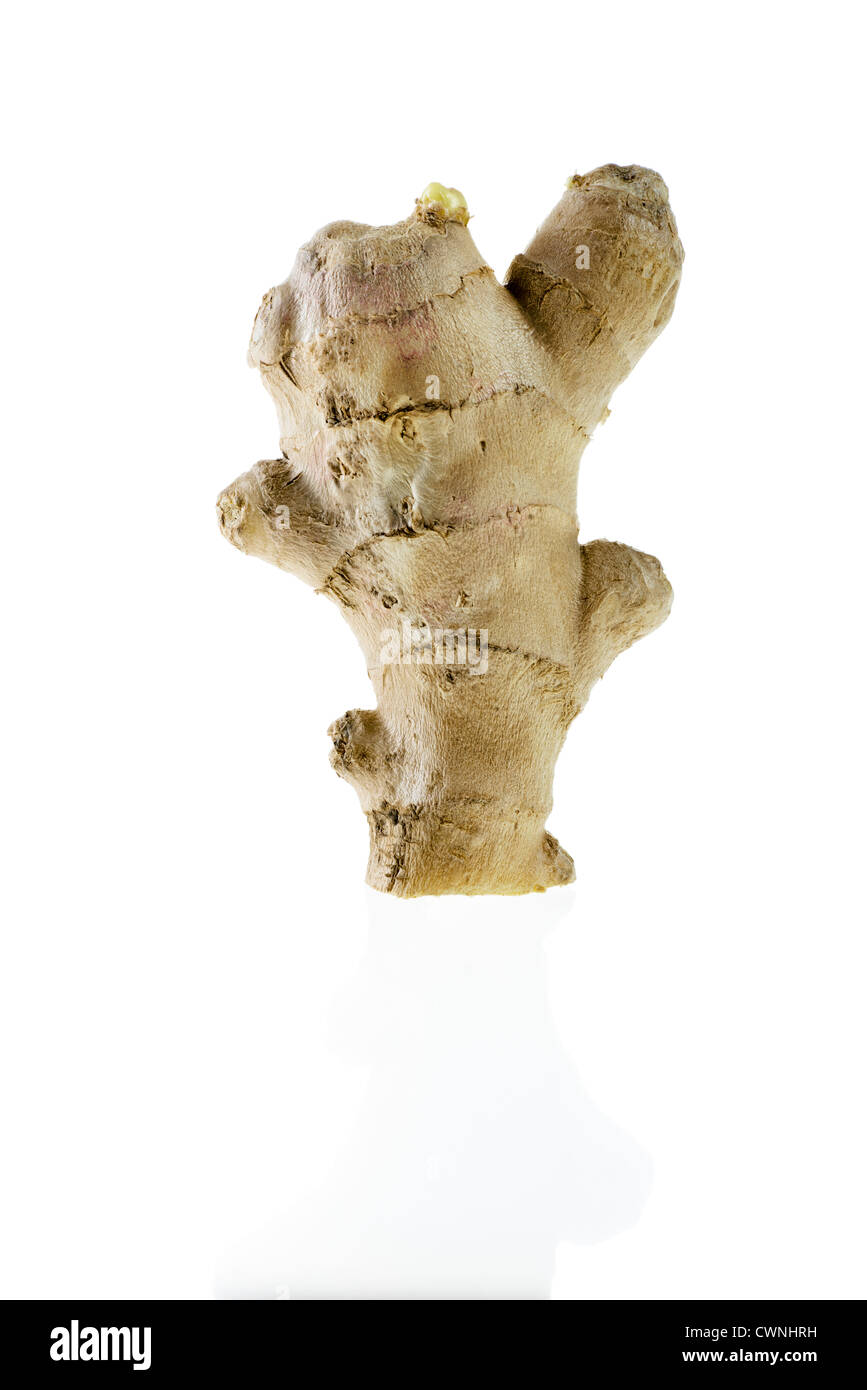Ginger Root (Zingiberaceae), isolated on 100% white background Stock Photo