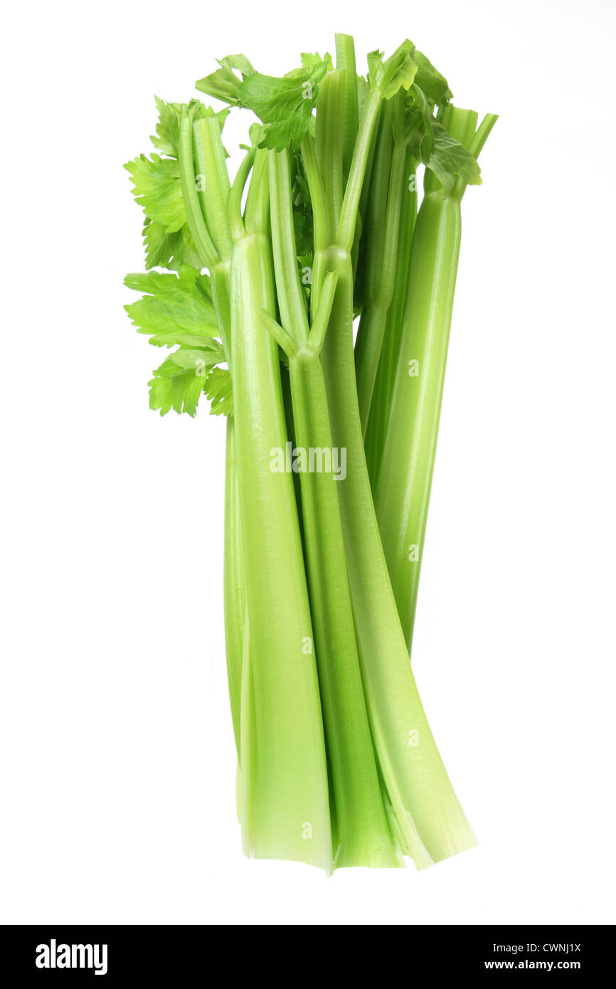 Bunch of Celery Stock Photo Alamy