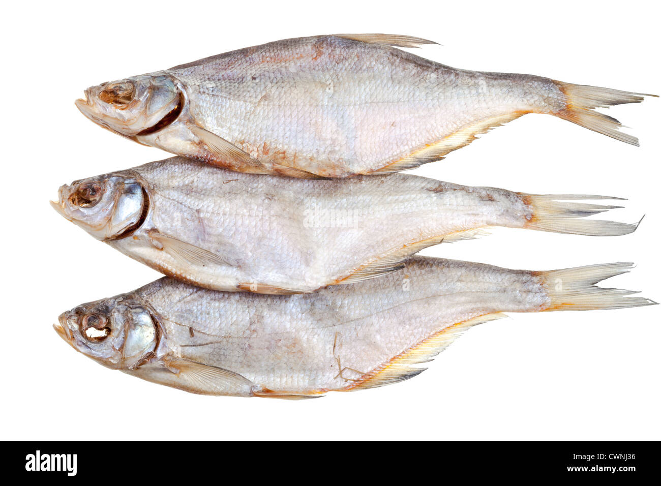 three salt dried fishes isolated on white background Stock Photo