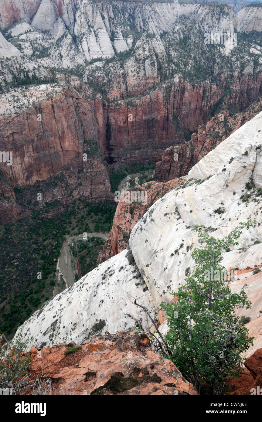 Looking Down Into The Mystery Canyon Area Zion National Park Plateau Utah Stock Photo Alamy