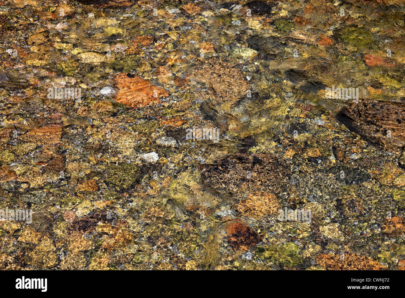 Rocks and pebbles under the surface of water Stock Photo - Alamy