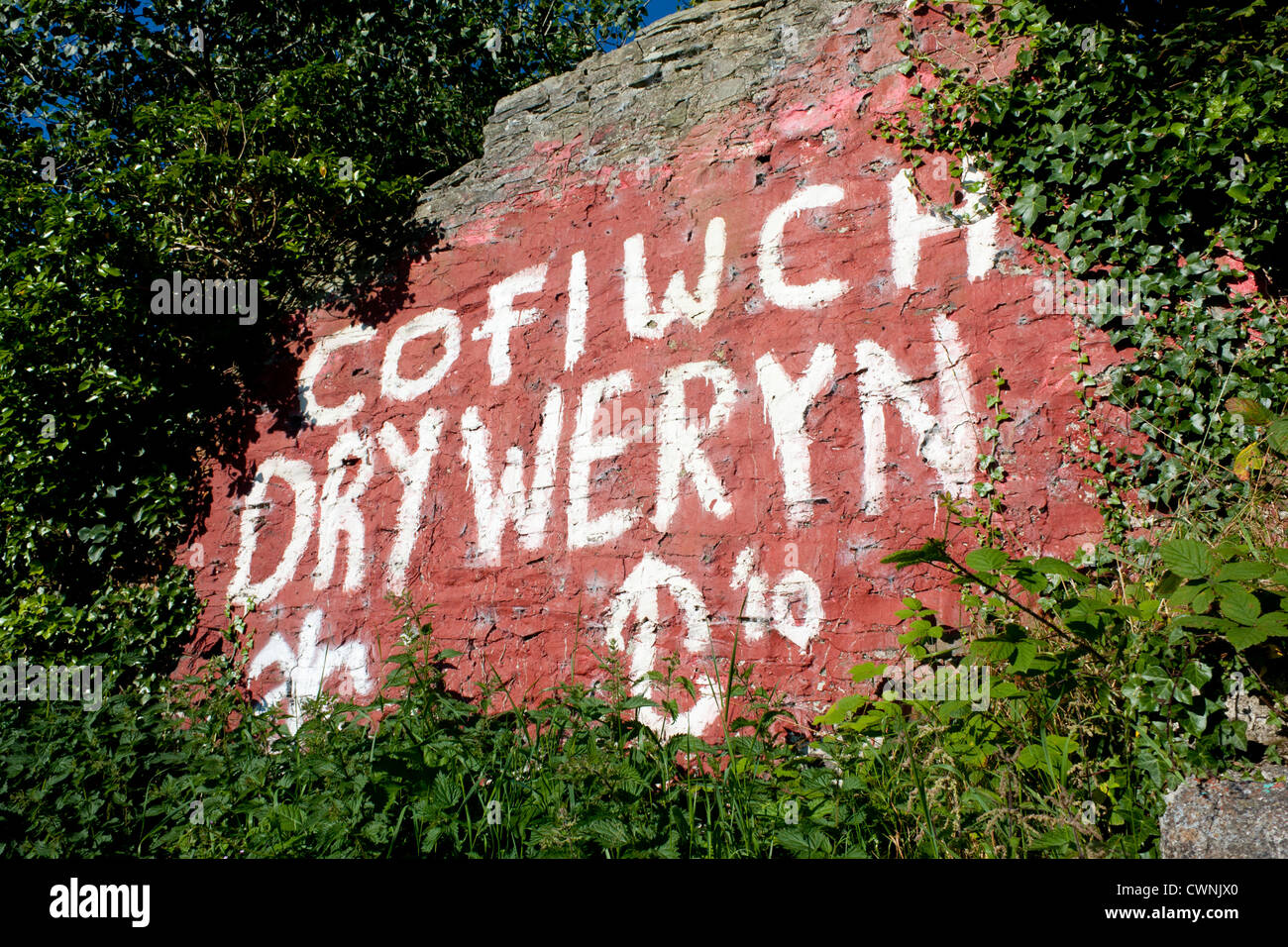 'Cofiwch Dryweryn' 'Remember Tryweryn' Welsh nationalist graffiti on roadside wall off A487 near Llanrhystud Ceredigion Wales UK Stock Photo