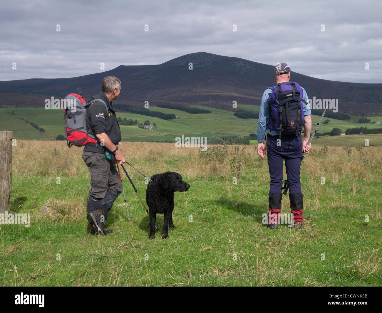 Ben Rinnes is a mountain in Moray, in northern Scotland. It has amazing ...