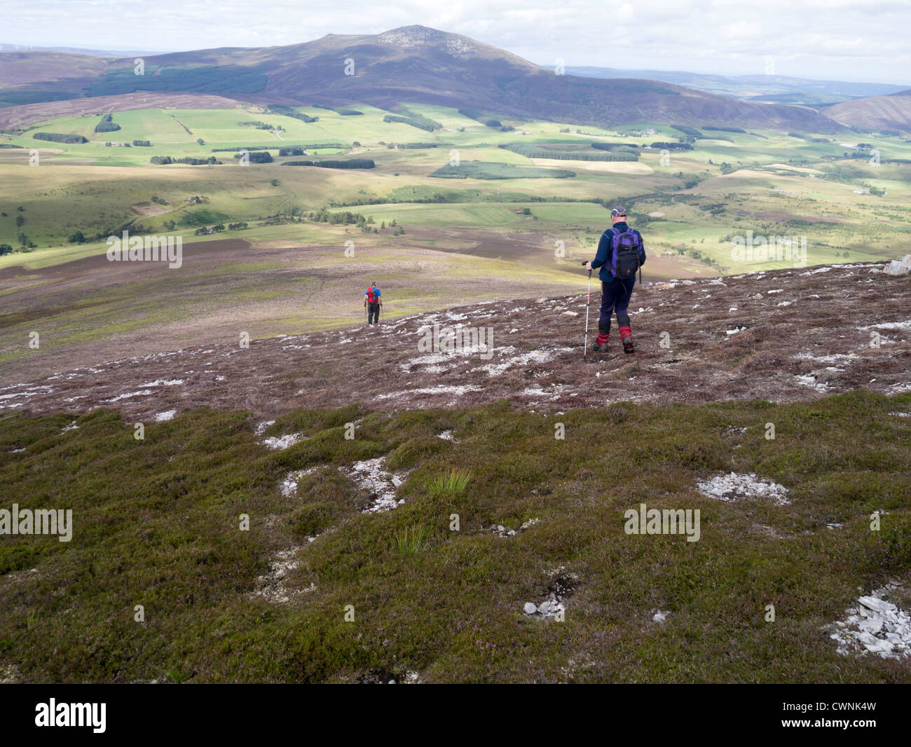 Ben Rinnes is a mountain in Moray, in northern Scotland. It has amazing ...