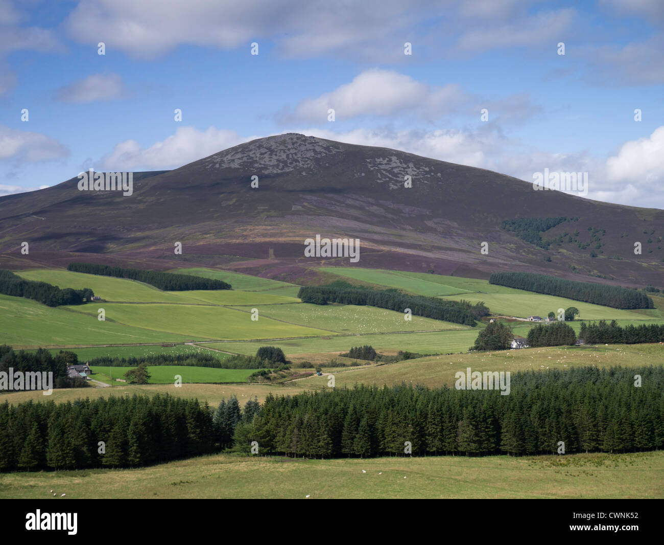 Ben Rinnes is a mountain in Moray, in northern Scotland. It has amazing ...