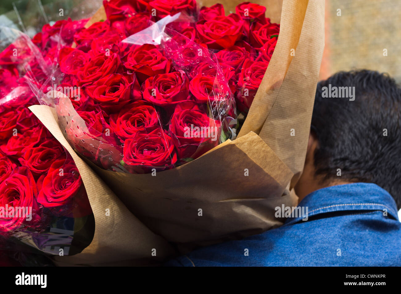 Man Carrying Roses man carrying large bunches of red roses Stock Photo - Alamy