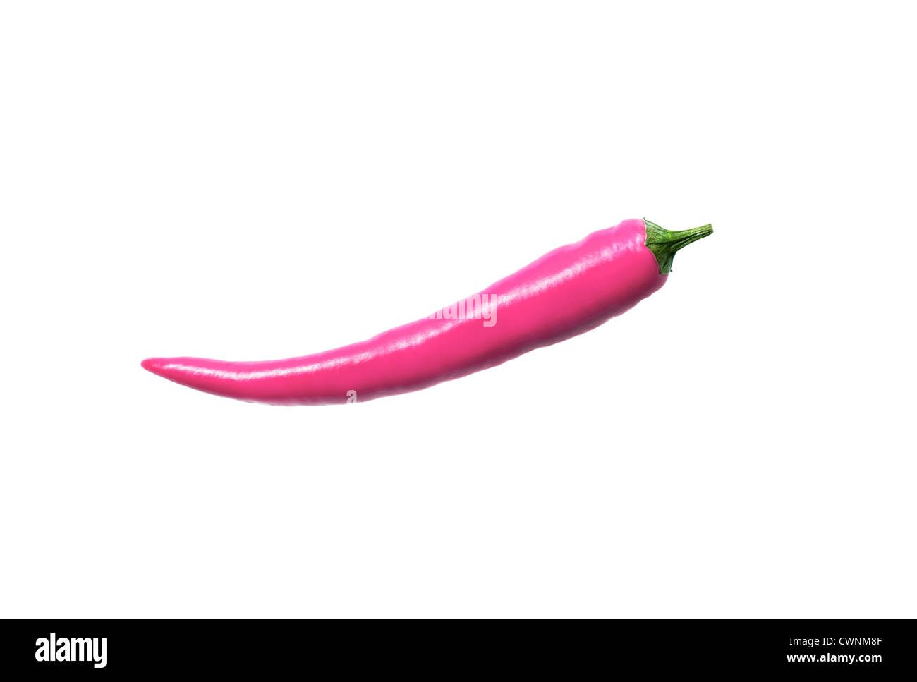 Pink chili pepper, symbol for manipulated food, composing, isolated on 100% white background Stock Photo
