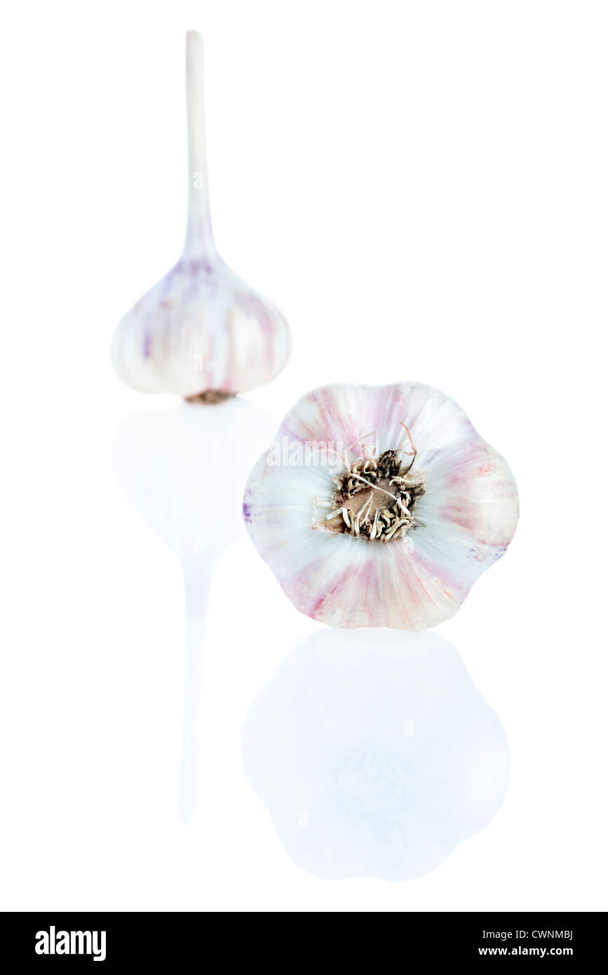 Garlic bulbs (Allium sativum), isolated on 100% white background Stock Photo