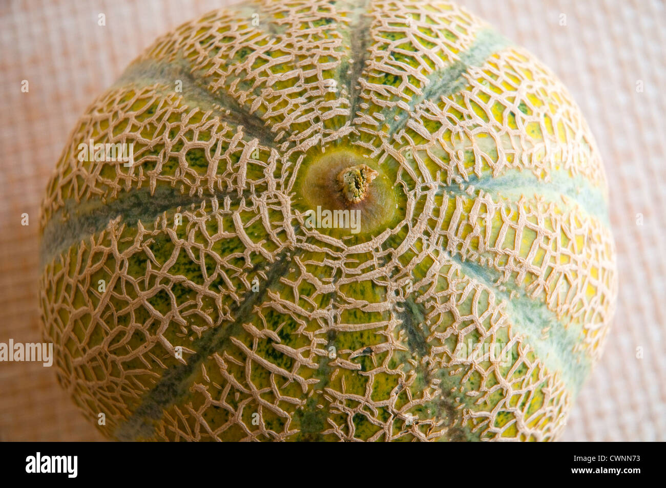 Melon, close view. Stock Photo