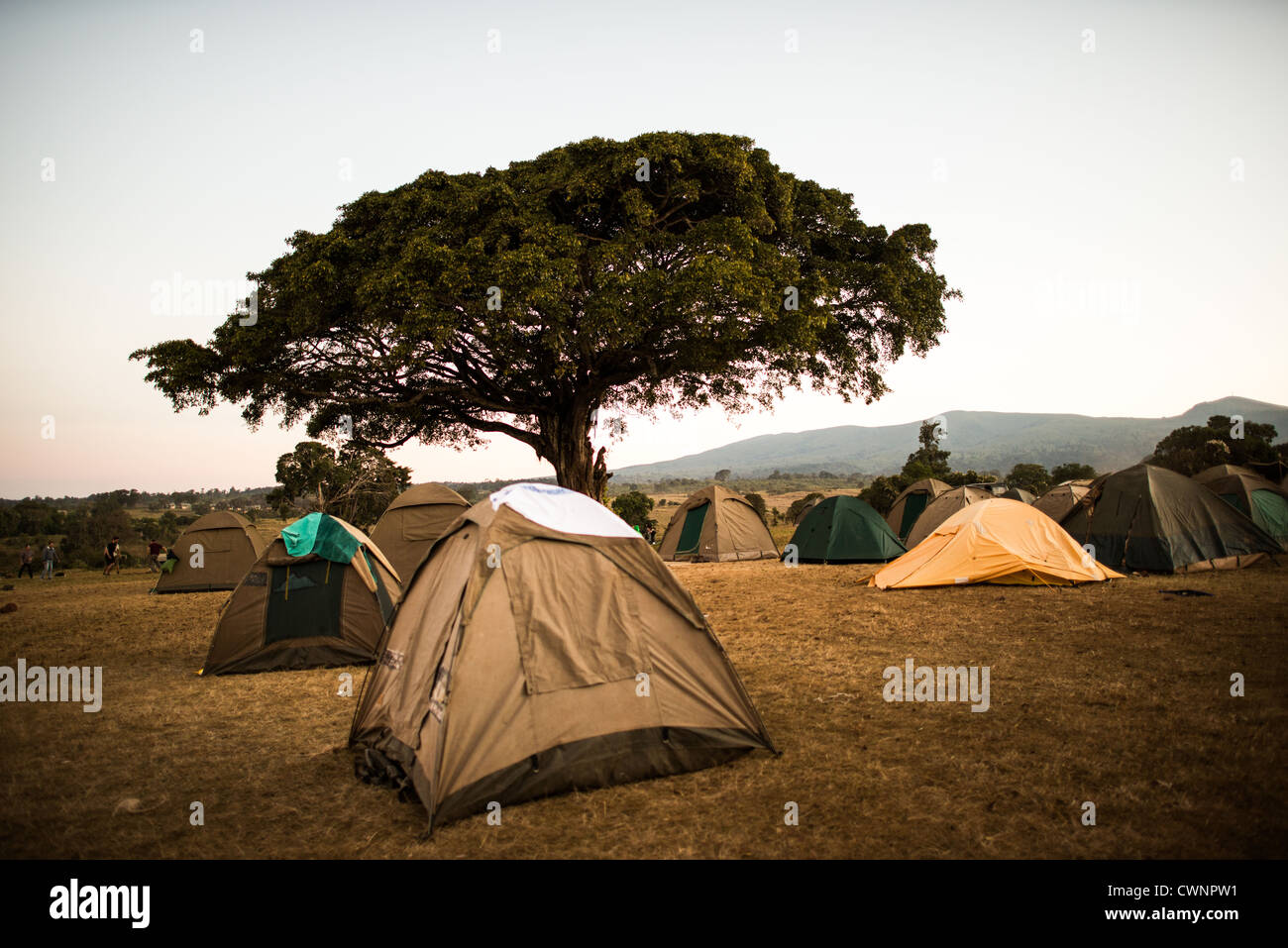 NGORONGORO CONSERVATIONAL AREA, Tanzania - Tents at dusk at the Simba Campsite on the rim of Ngorongoro Crater in the Ngorongoro Conservation Area, part of Tanzania's northern circuit of national parks and nature preserves. Stock Photo