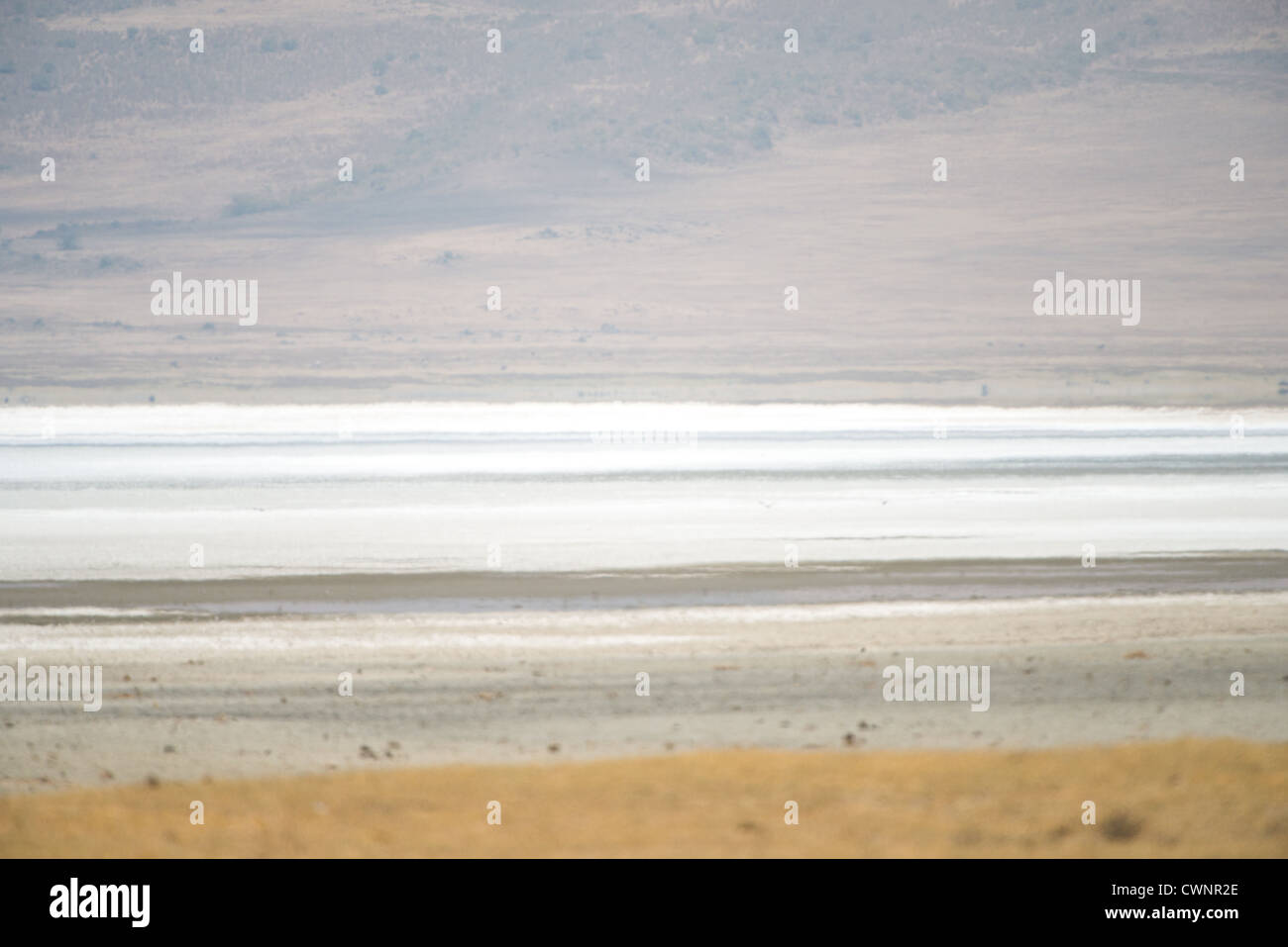 NGORONGORO CRATER, Tanzania — Magadi Lake, a salt lake located within Ngorongoro Crater in the Ngorongoro Conservation Area, forms part of Tanzania's northern safari circuit. The crater, a UNESCO World Heritage Site, is situated within the larger Ngorongoro Conservation Area in northern Tanzania. This caldera supports diverse wildlife populations and contains several seasonal and permanent water sources. The conservation area serves as a critical habitat for numerous species and represents one of Africa's most significant wildlife conservation areas. Ngorongoro Crater is widely considered amon Stock Photo