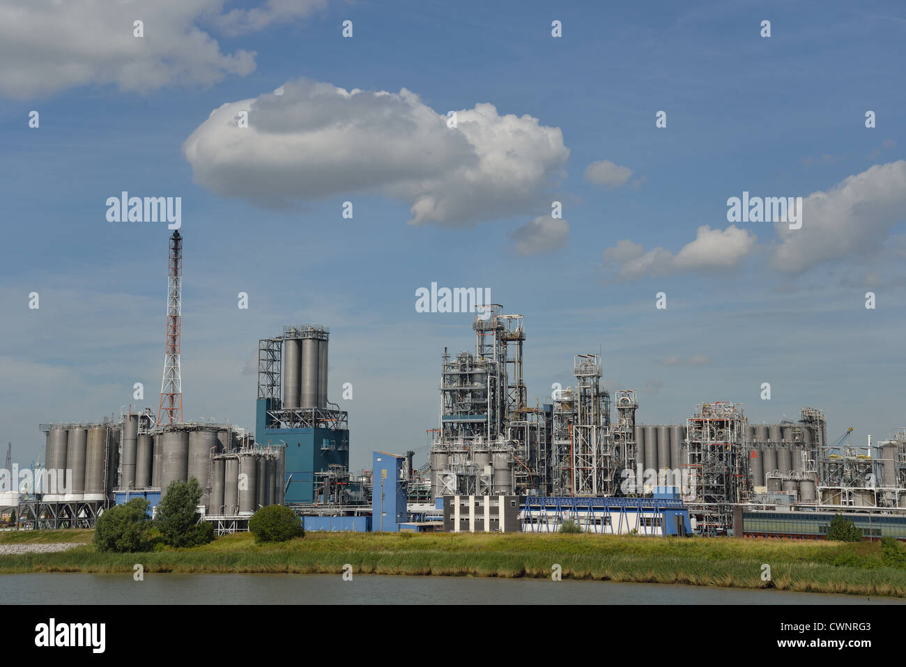Oil refinery beside the Scheldt River, Antwerp Province, The Flemish Region, Belgium Stock Photo