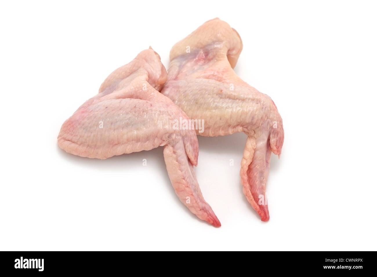 Raw Chicken Wings Stock Photo