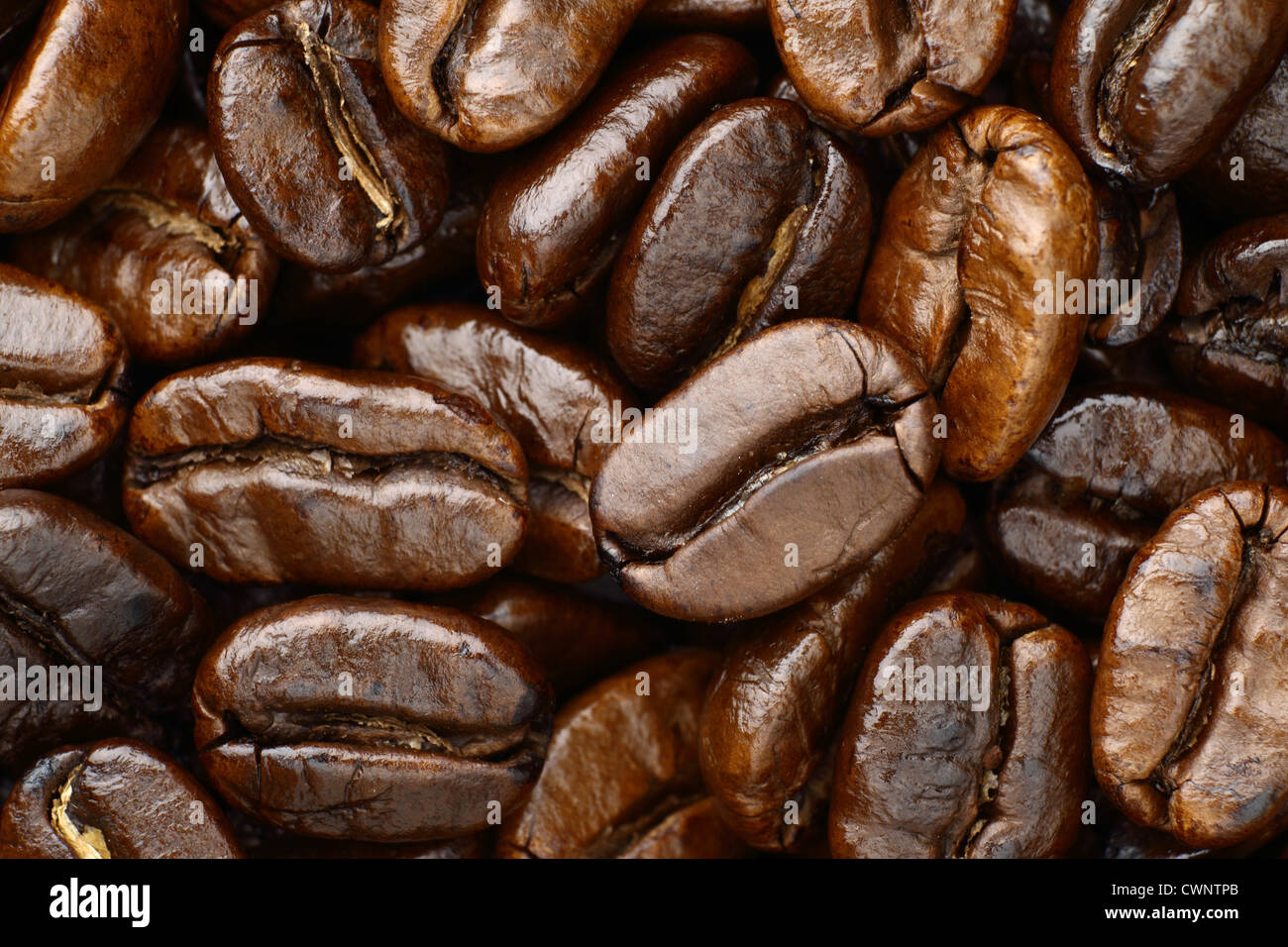 roasted coffee beans arabica Stock Photo