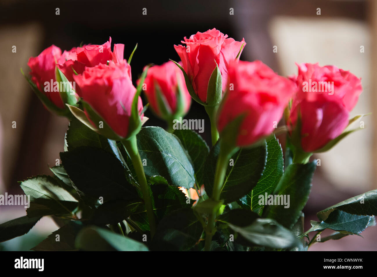 Bouquet of pink roses Stock Photo - Alamy
