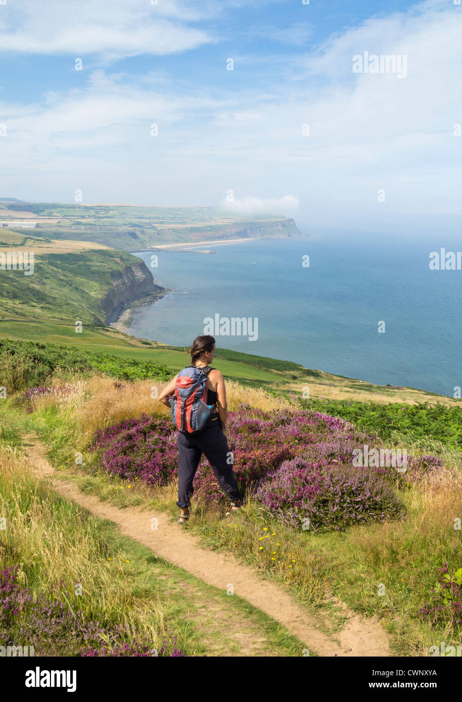 Female hiker on The Cleveland Way national trail coastal footpath near ...