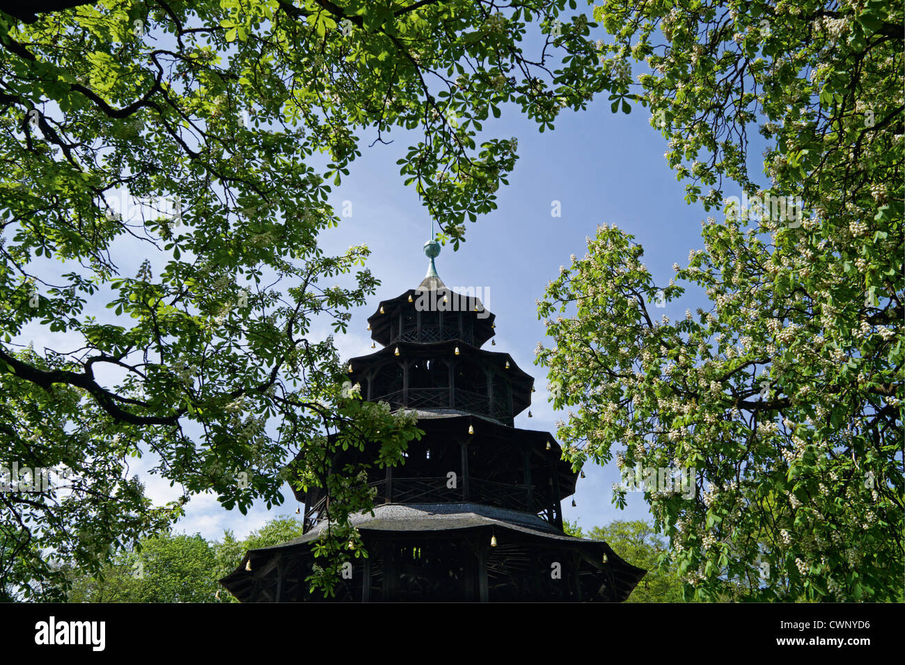 Germany, Bavaria, Munich, Horse chestnut tree with chinese tower in background Stock Photo