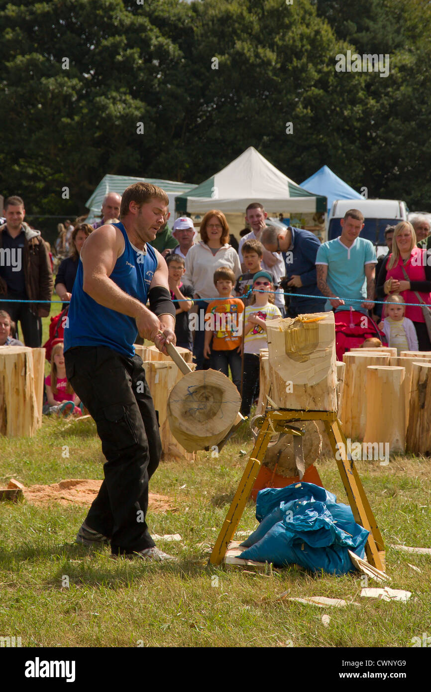 Demonstration of timber felling with a racing axe Stock Photo