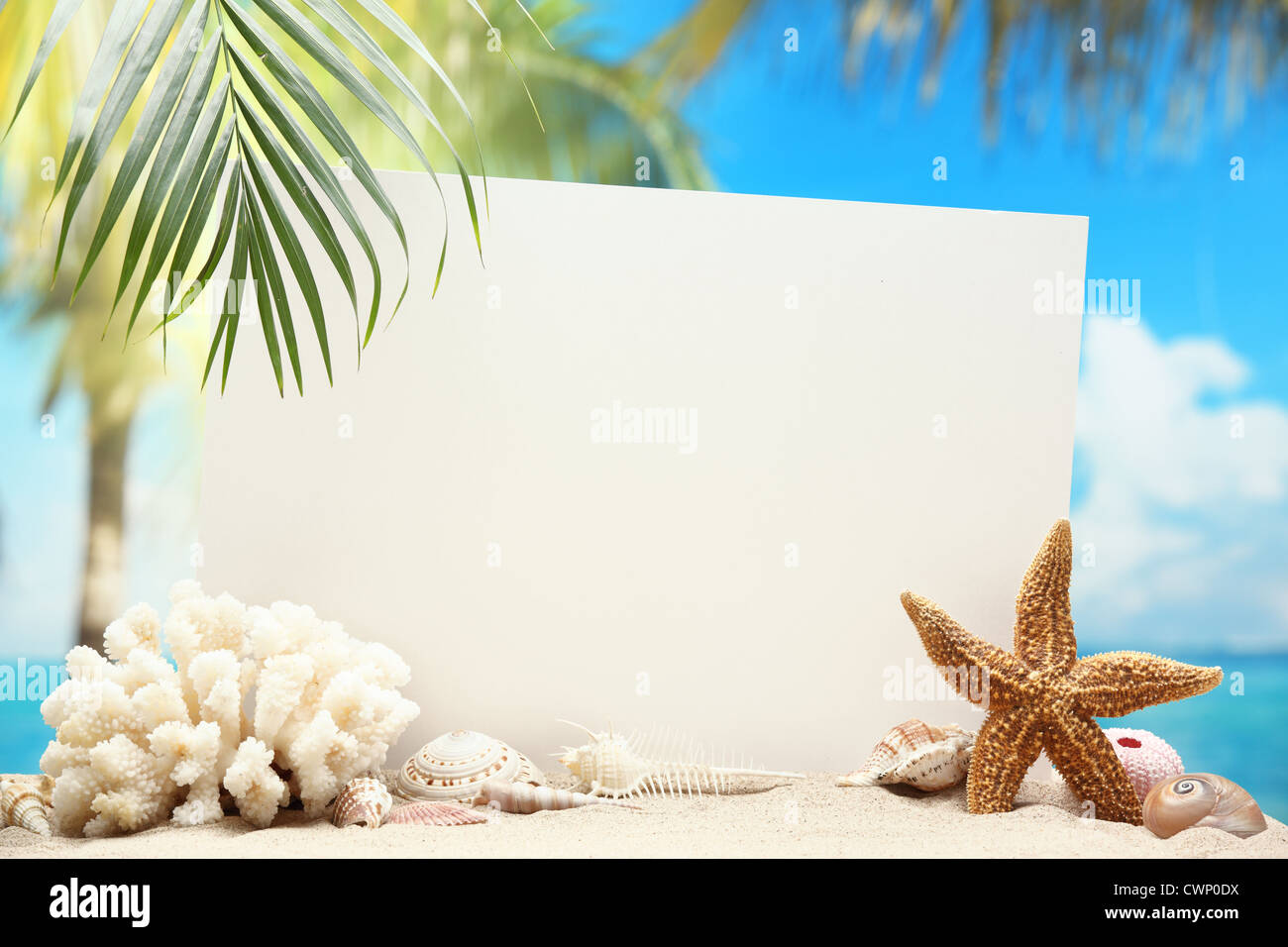 Blank paper card and seashells on sand beach. Stock Photo