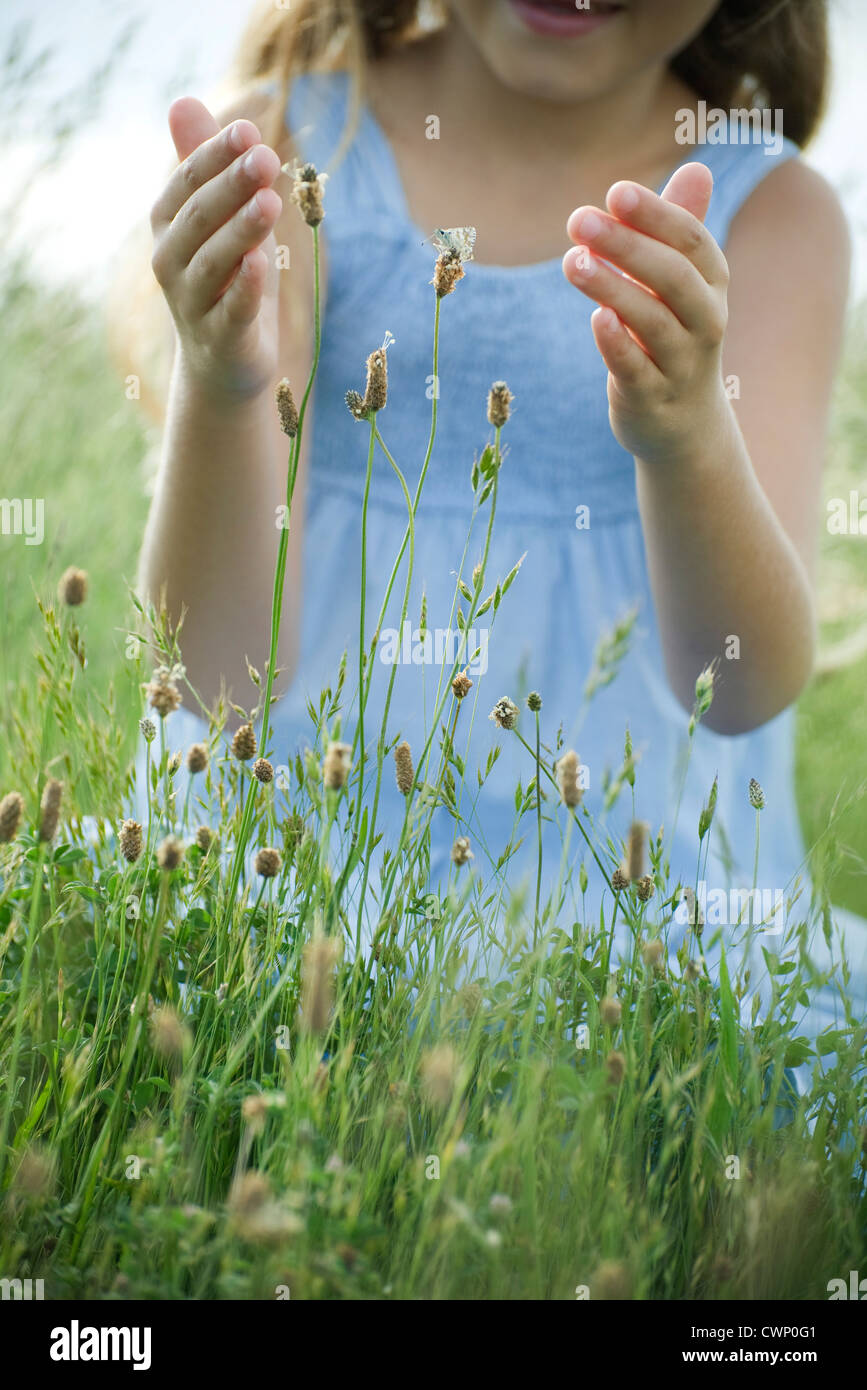 Butterfly on wildflower, girl with cupped hands attempting to