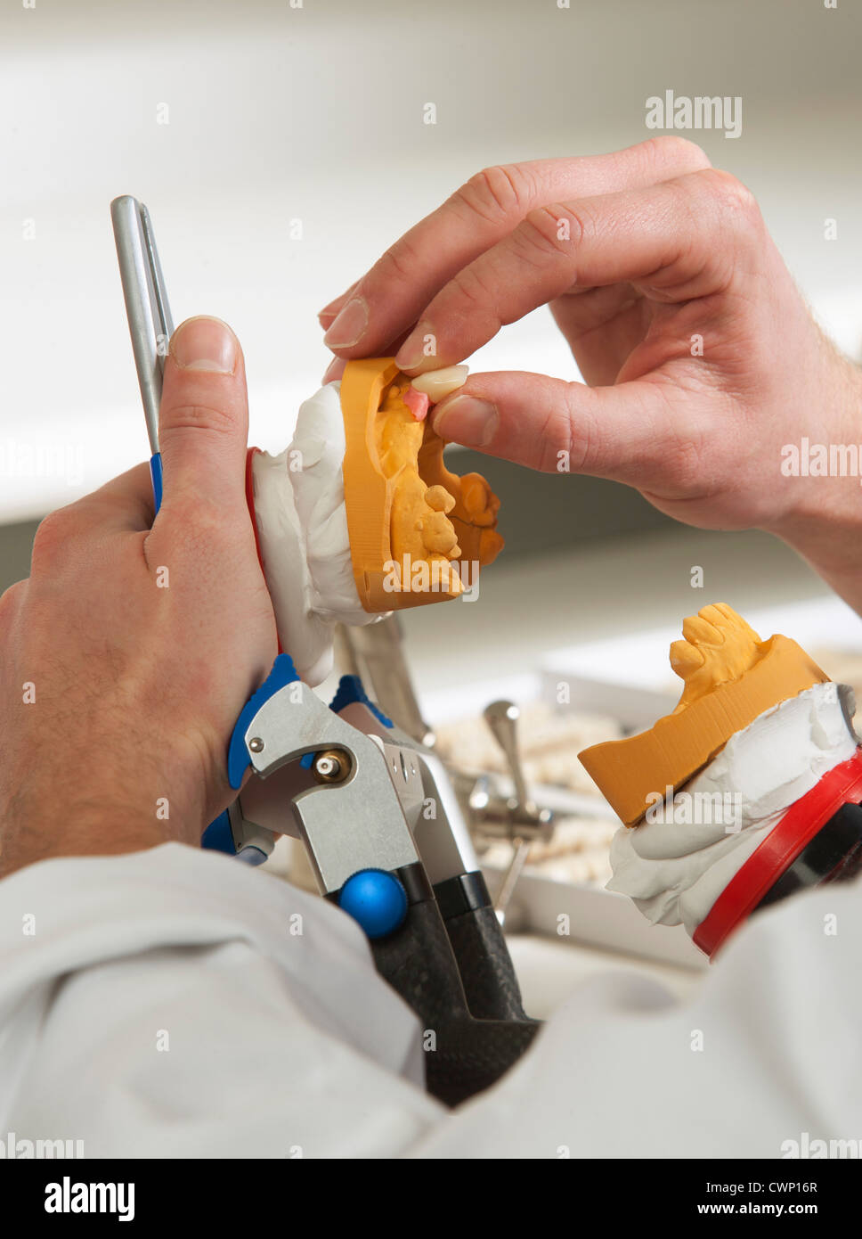 Dentist preparing dentures in dental laboratory Stock Photo Alamy