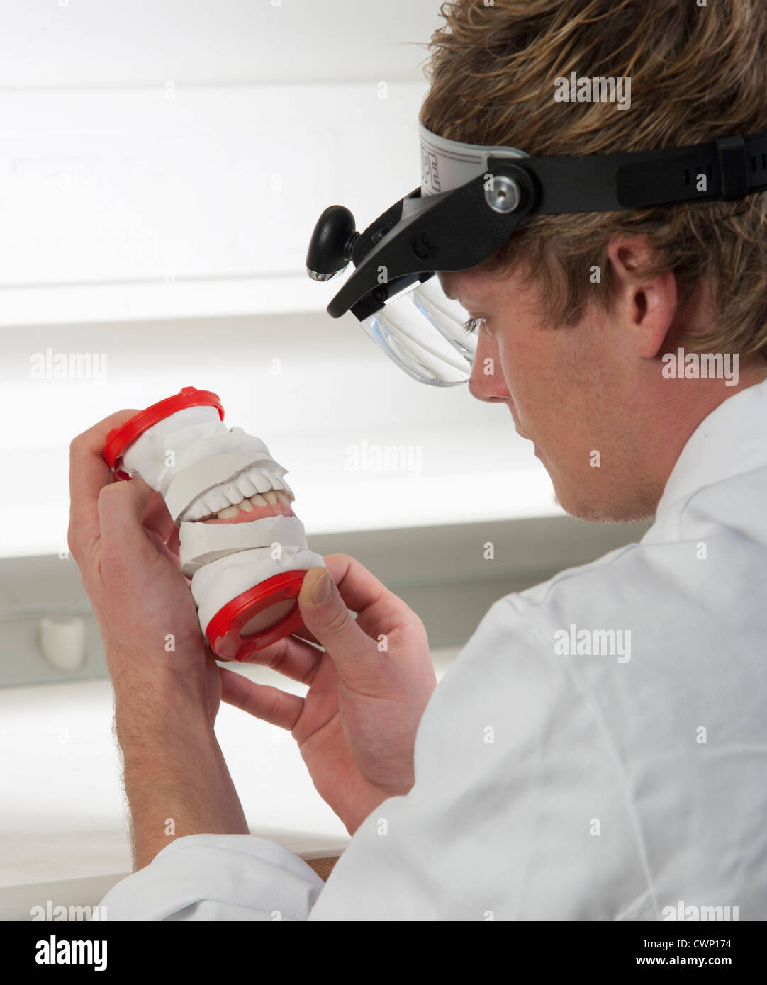 Dentist looking at dentures in dental laboratory Stock Photo Alamy