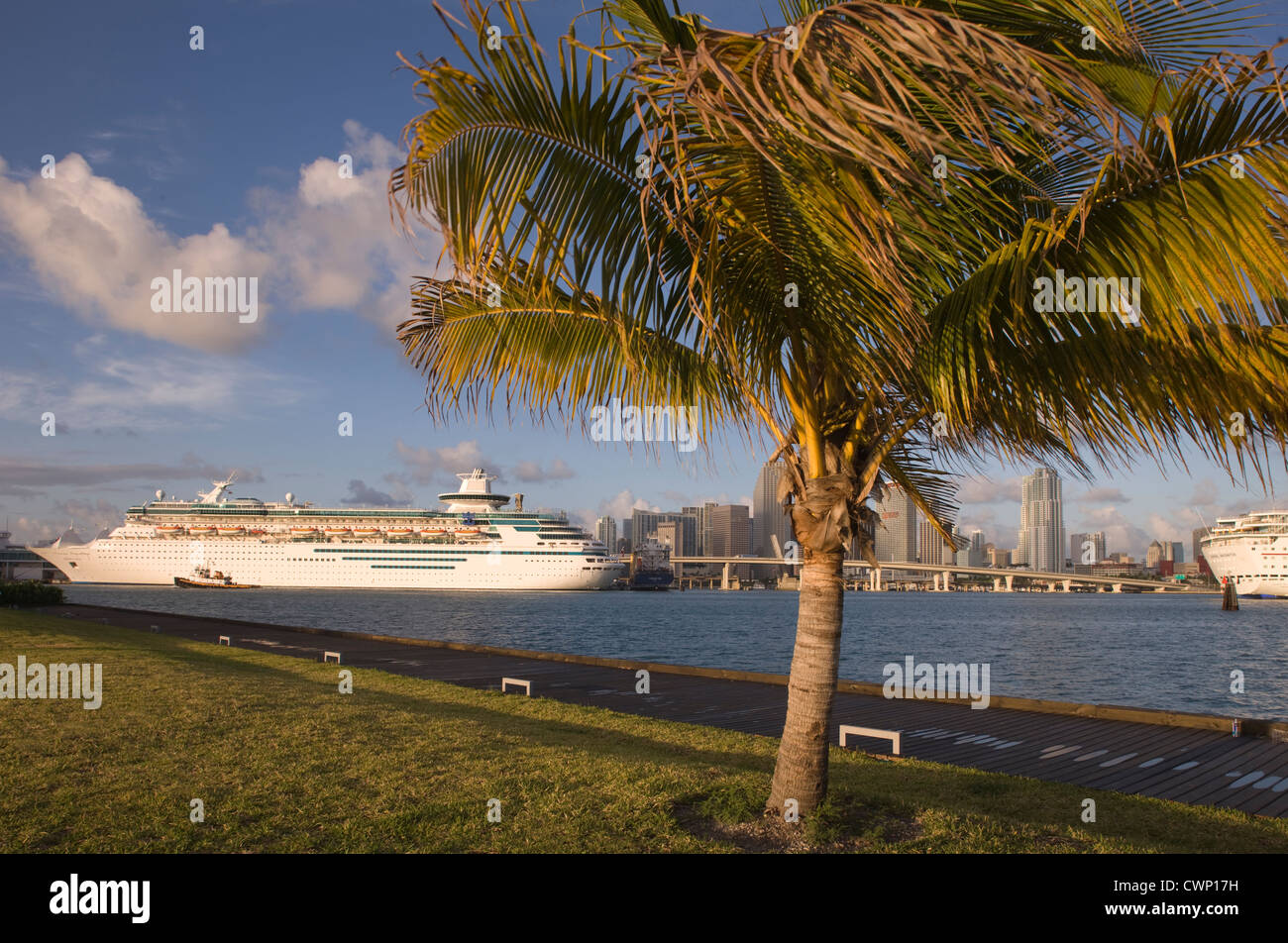 CRUISE SHIP DOCKED AT PORT OF MIAMI FLORIDA USA Stock Photo - Alamy
