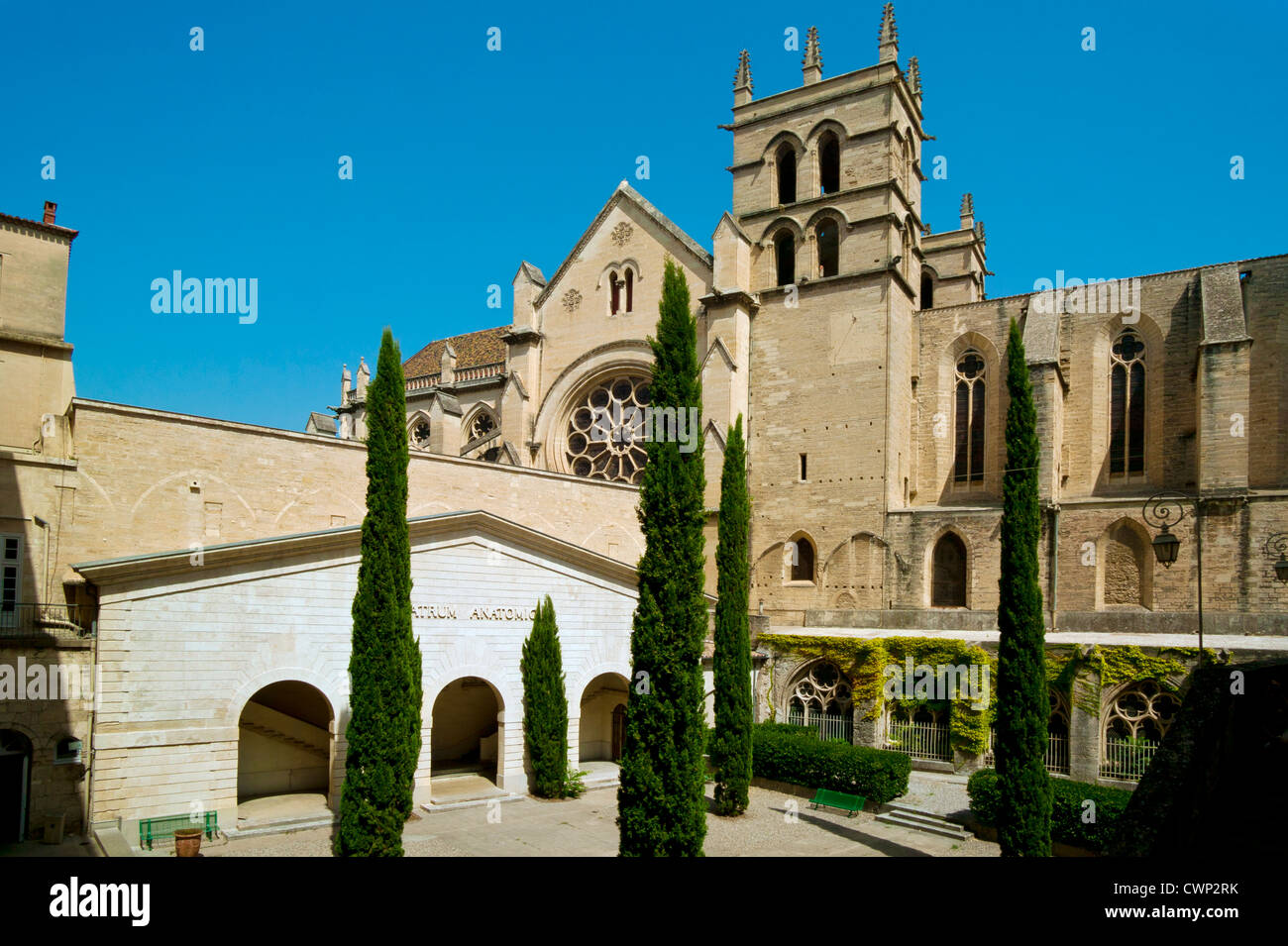 University Of Medicine, Cathedral Saint Pierre,Montpellier, Languedoc-Roussillon, France Stock Photo