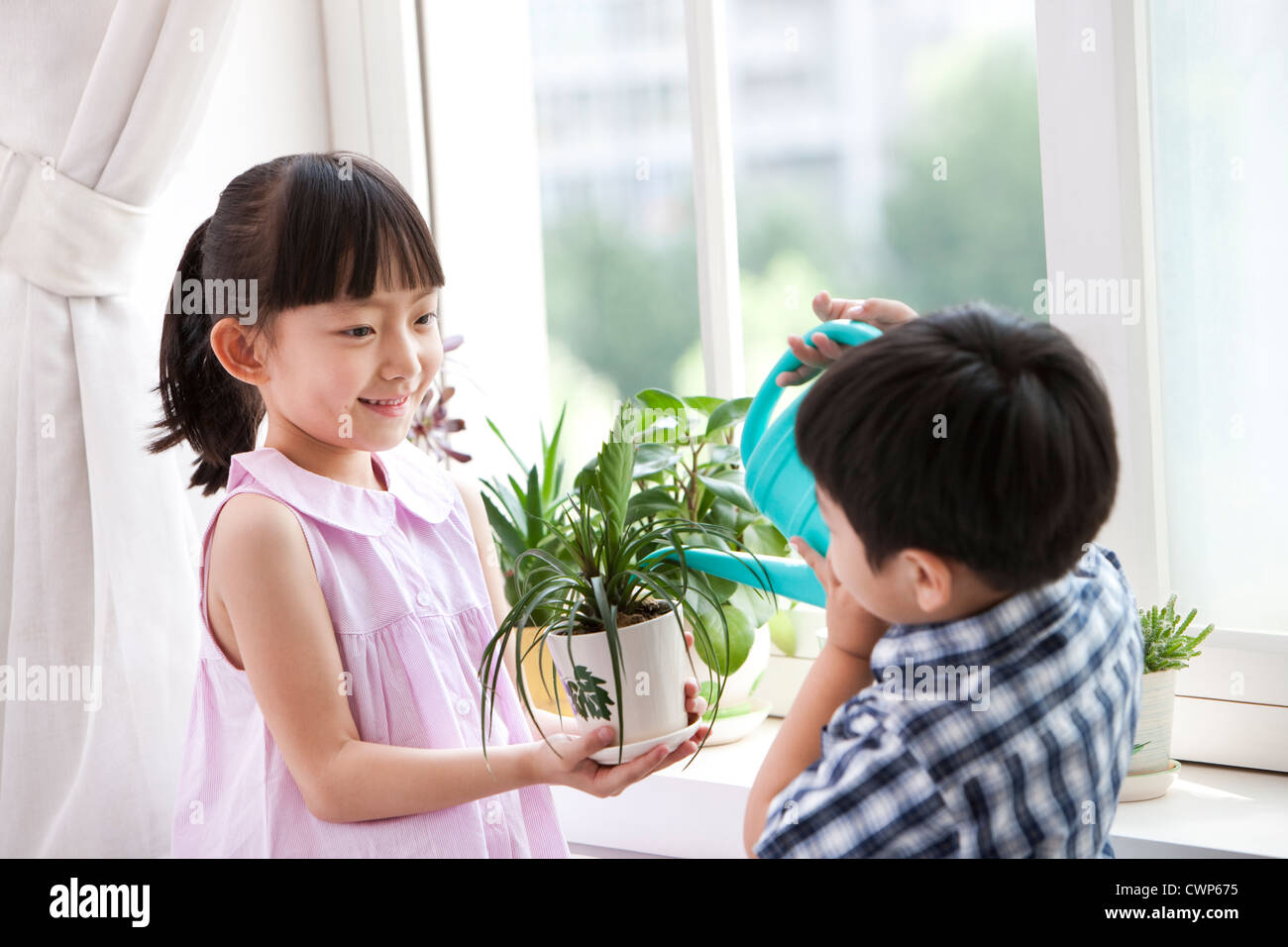 Boy and girl watering potted plants together Stock Photo - Alamy