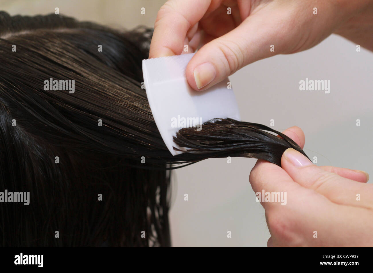 Nits hi-res stock photography and images - Alamy Nits hi-res stock photography and images - Alamy