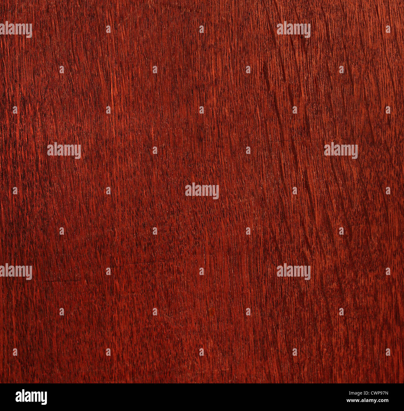 texture of natural wood Stock Photo Alamy