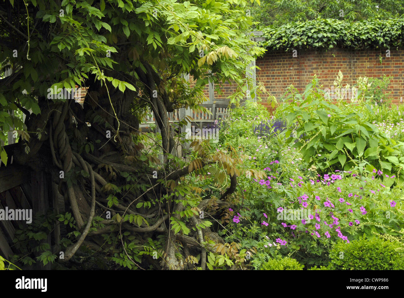 Old English Garden in Battersea Park Stock Photo - Alamy