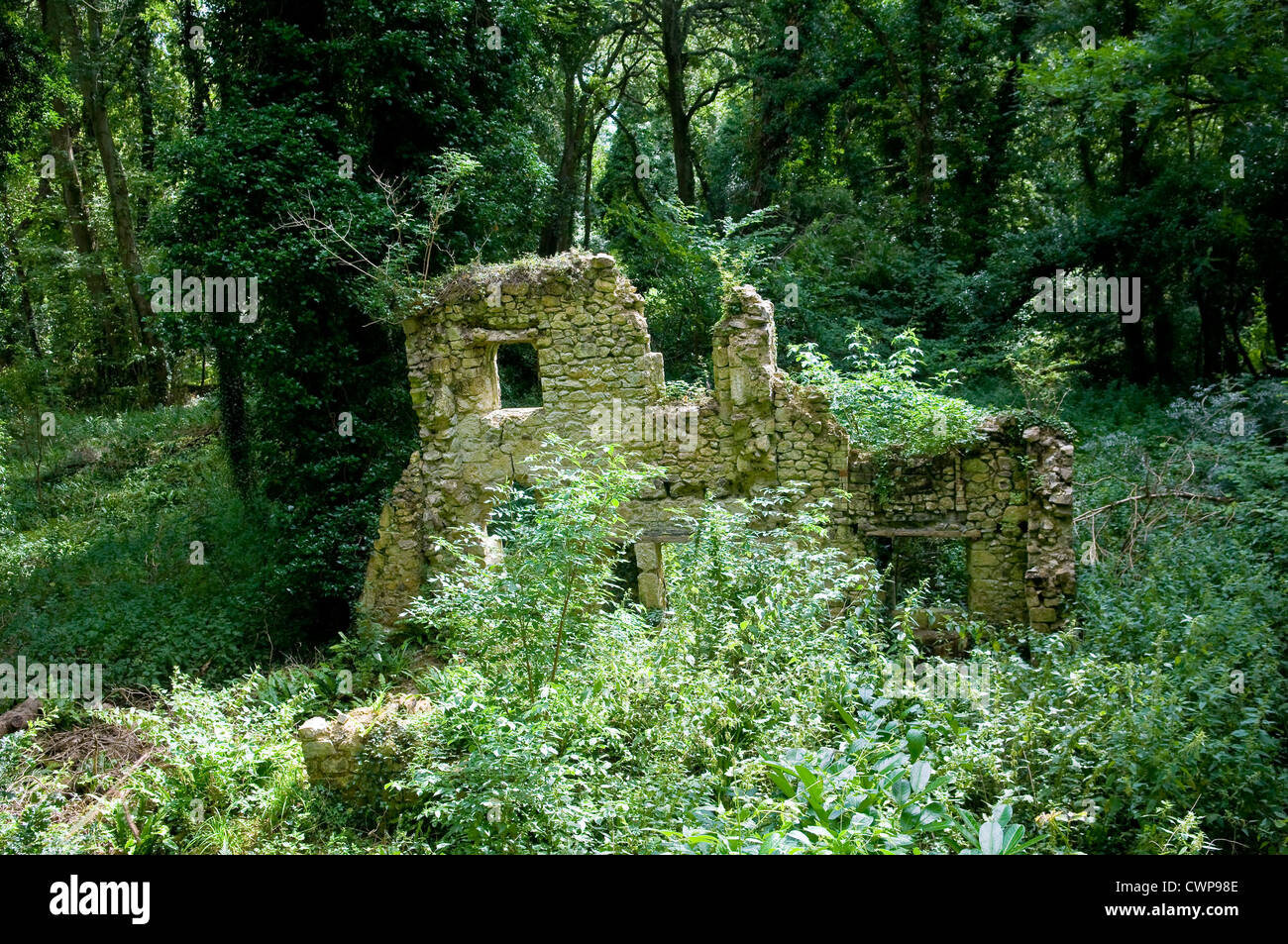 Ruins on the Undercliff walk between Axmouth, Devon and Lyme Regis, Dorset, UK Stock Photo